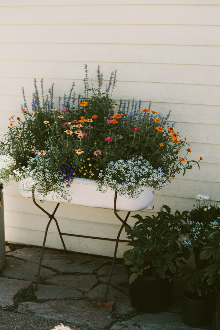 Sedona Wedding Florist Bohemian Floral Design » Jane in the Woods