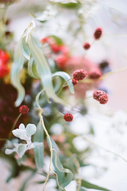 Jane in the Woods || Botany Boheme || Sedona Wedding Photographer