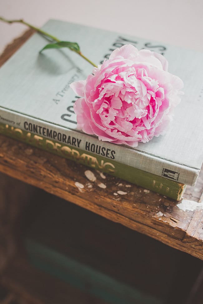 Jane in the Woods || Sedona Wedding Photographer
