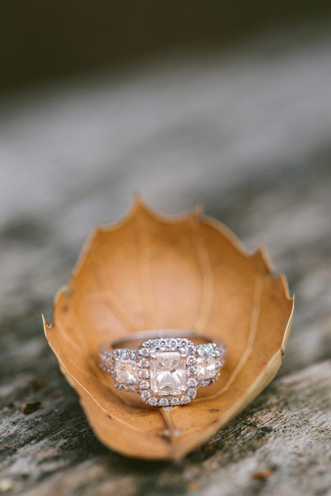 Jane in the Woods || Sedona Wedding Photographer || Sedona Engagement Photos