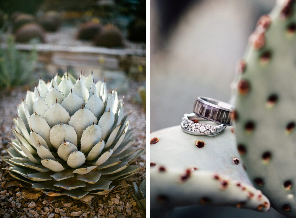 Downtown Phoenix Wedding Photographer || Jane in the Woods