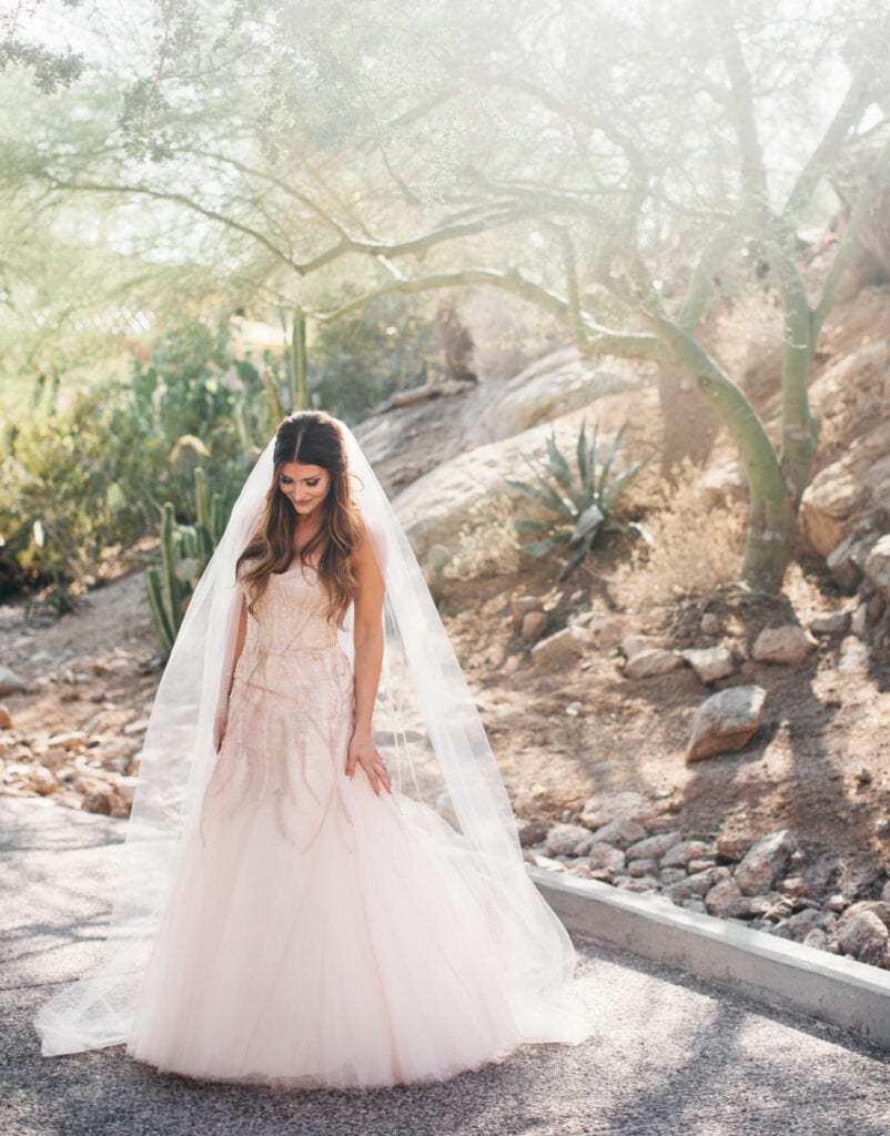 Scottsdale Wedding Photographer || Jane in the Woods + BTS Event Management + Phoenician Wedding