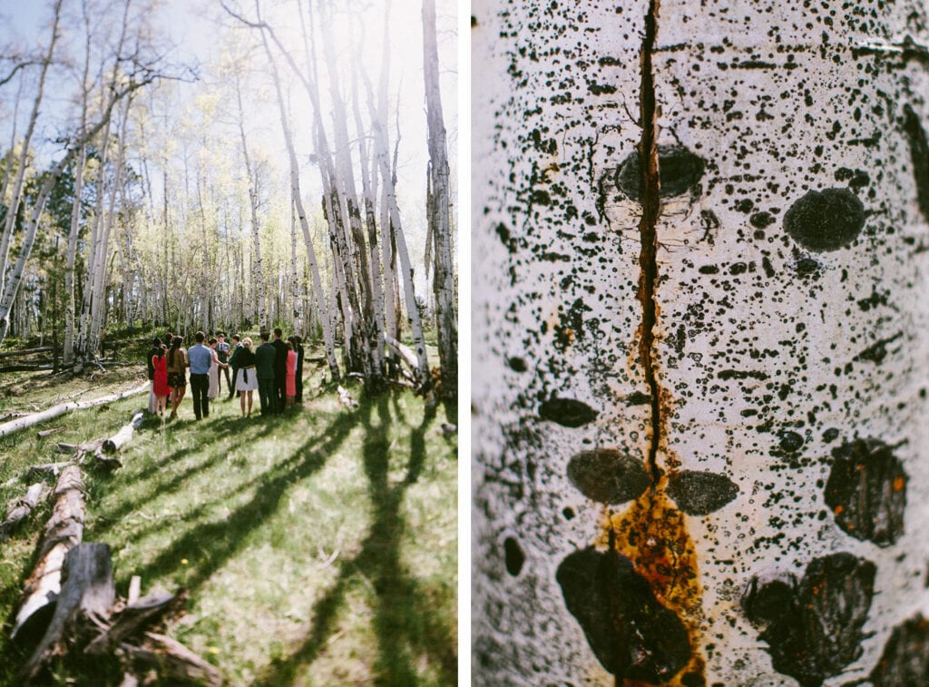 Flagstaff Wedding Photographer || Hart Praire Photos
